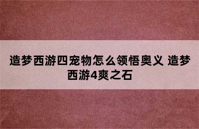 造梦西游四宠物怎么领悟奥义 造梦西游4爽之石